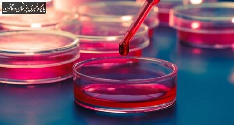 تحریمها تاثیر قابل ملاحظهای در بخش خون، مدیکال آنکولوژی و مغز استخوان نداشته است تحریمها تاثیر قابل ملاحظهای در بخش خون، مدیکال آنکولوژی و مغز استخوان نداشته است