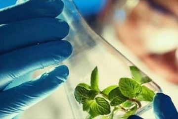 ایران جزو ۵ کشور نخست محصولات زیست فناوری در دنیا است