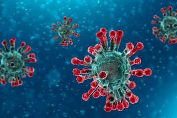 طبع بیماری کروناویروس جدید سرد است