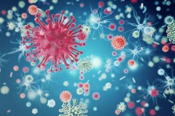 تاکنون ۲ نوع از "کرونا ویروس" در جهان شیوع پیدا کرده است