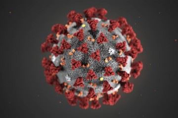 جدیدترین آمار درگیری جهانی کروناویروس