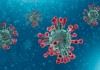 آلودگی ۶۰ تا ۷۰ درصد مردم به ویروس کرونا اپیدمی را خاموش می‌کند