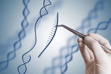 انجام مطالعاتی در خصوص درمان یک بیماری ژنتیکی شایع