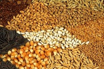 جزئیات بازرسی سازمان غذا و دارو از واحدهای تولید کننده اسنک حجیم شده