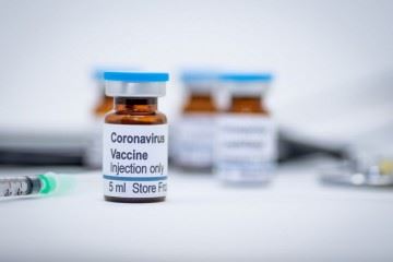واکسن کرونا روی میمون‌ها با موفقیت عمل کرد
