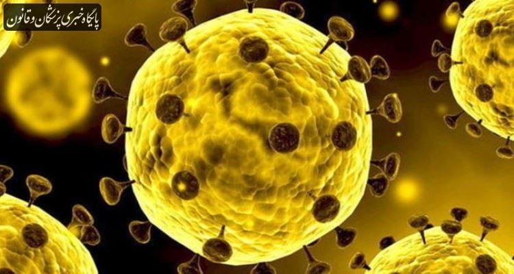 وجود ویروس کرونا در مدفوع بیماران وجود ویروس کرونا در مدفوع بیماران