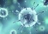 شرایط آب و هوایی تاثیری بر کاهش خطر ابتلا به ویروس کرونا ندارد