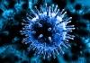 انتشار ویروس کرونا ارتباط مستقیمی با دما ندارد