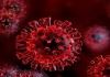 ویروس کووید ۱۹ می‌تواند از طریق غذا هم به بدن منتقل شود