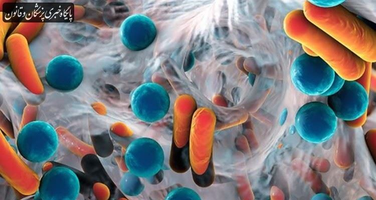چرا میکروبیوم رودهای برای سلامت ما حیاتی است چرا میکروبیوم رودهای برای سلامت ما حیاتی است