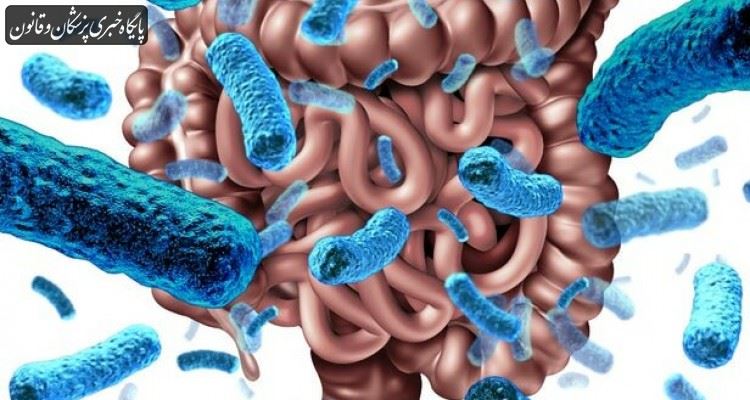میکروب‌های روده چه نقشی در تامین سلامت یا ایجاد بیماری دارند؟