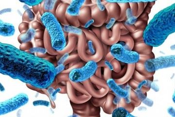 میکروب‌های روده چه نقشی در تامین سلامت یا ایجاد بیماری دارند؟