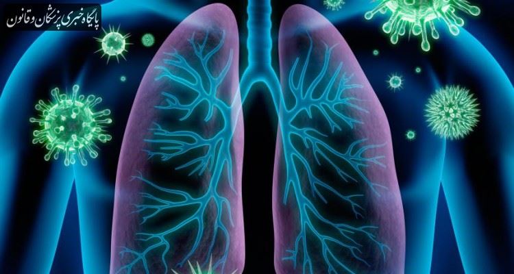 تقویت سیستم ایمنی بدن باعث تقویت سیستم تنفسی و کاهش خطر ابتلا به کرونا میشود تقویت سیستم ایمنی بدن باعث تقویت سیستم تنفسی و کاهش خطر ابتلا به کرونا میشود