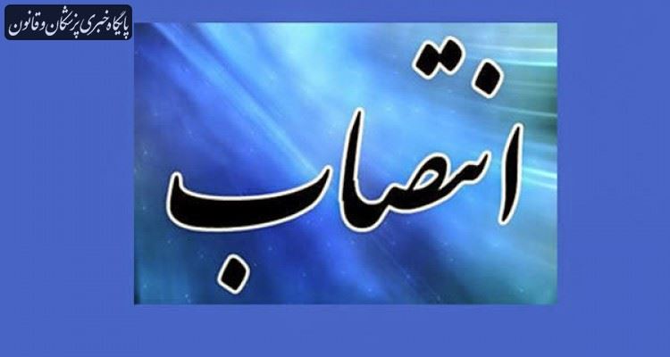 مدیر برنامه‌ریزی معاونت اجتماعی و امور مجلس نظام پزشکی منصوب شد