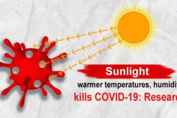 آیا نور خورشید در تابستان ویروس کرونا را غیرفعال می‌کند؟