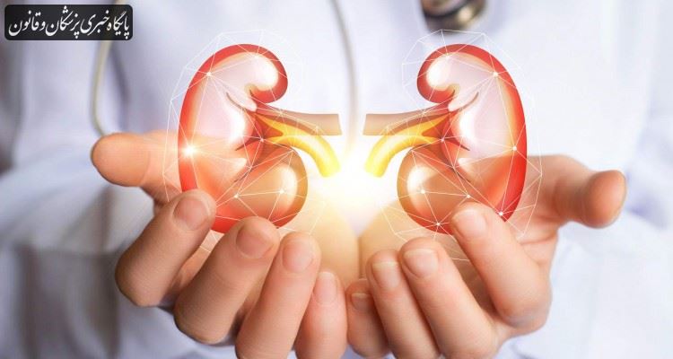 عفونتهای کلیه و مجاری ادراری را جدی بگیرید عفونتهای کلیه و مجاری ادراری را جدی بگیرید