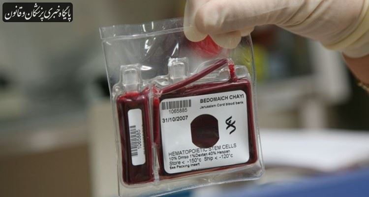 انجام ۱۷ مورد موفق پیوند با استفاده از سلول‌های خون بند ناف در کشور