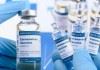 هشدار نسبت به توزیع زودهنگامِ واکسن کرونا در آمریکا