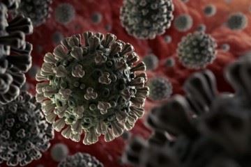ویروس کرونا باعث ایجاد نارسایی کلیه می‌شود