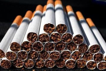 عدم اجرای درست سیاست مالیات بر مواد دخانی ربطی به قاچاق سیگار ندارد