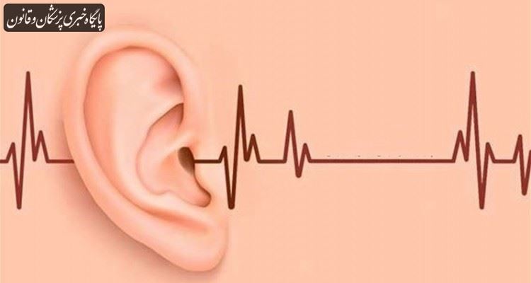 شعار هفته جهانی کمشنوایی و ناشنوایی چیست؟ شعار هفته جهانی کمشنوایی و ناشنوایی چیست؟