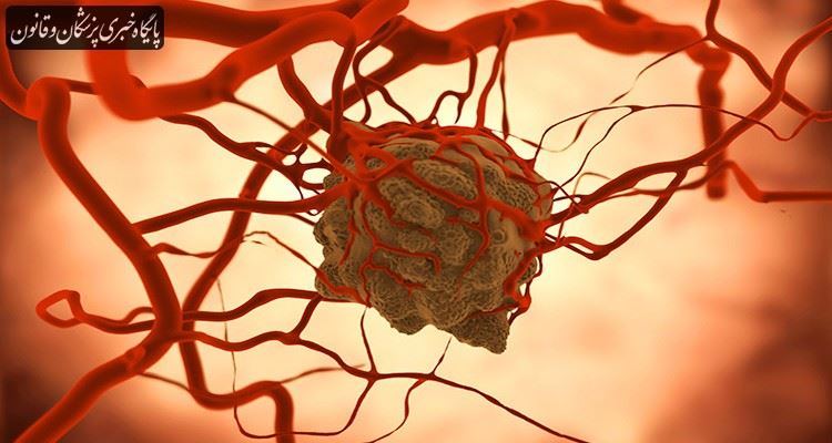 HPV اصلیترین عامل بروز سرطان دهانه رحم HPV اصلیترین عامل بروز سرطان دهانه رحم
