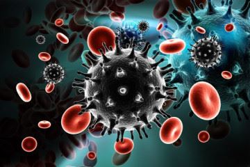 دومین بیمار مبتلا به ویروس ایدز در جهان، درمان شد
