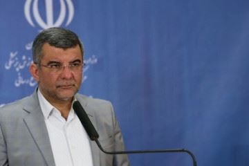 نگرانی چندانی بابت شیوع آنفلوآنزا در کشور نداریم