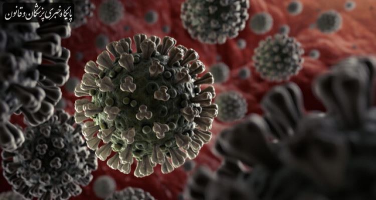 گونه جدید ویروس کرونا ۷۰ درصد بیشتر قابل انتقال است