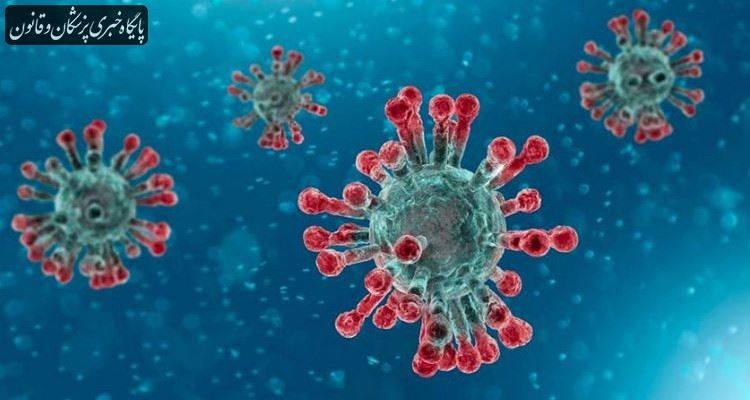 نوع جدید ویروس کرونا ۷۰ درصد از نوع رایج این ویروس قدرت سرایت پذیری بیشتری دارد