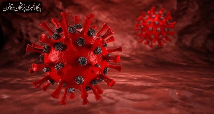 کشف سویه جدیدی از ویروس کرونا در ژاپن
