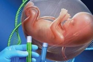 تست غربالگری لزوما دال بر بیماری جنین نیست