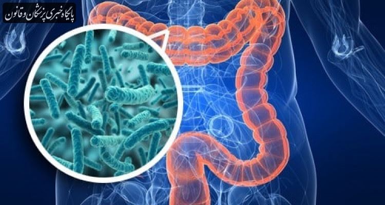 تاثیر میکروبیوم روده در حفظ دمای بدن در سرما تاثیر میکروبیوم روده در حفظ دمای بدن در سرما