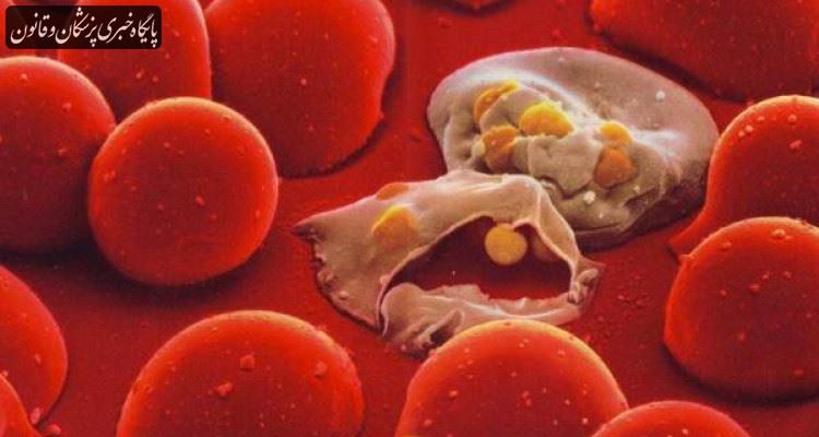 کشف یک داروی غیر آنتی بیوتیکی برای درمان عفونت خون
