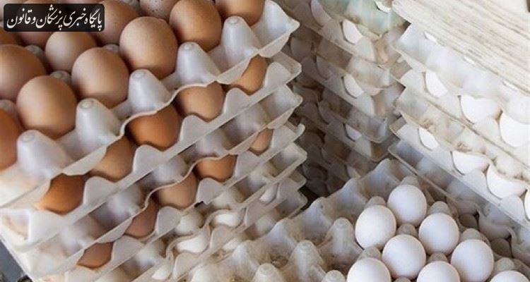 ادعای وزارت بهداشت درخصوص انتقال کرونا ازسطح تخم مرغ، پایه علمی ندارد