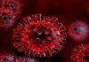 بی تحرکی شدت عفونت کووید ۱۹ و احتمال مرگ ناشی از آن را افزایش می‌دهد