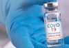 یکی از تکنولوژی هایی محصولات تراریخته در واکسن کووید ۱۹ مورد استفاده قرار گرفته است