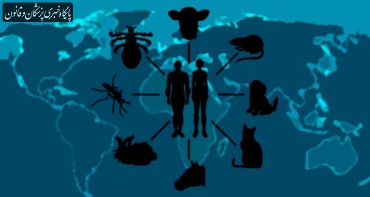 نکاتی درباره بیماری‌های قابل انتقال بین انسان و حیوان