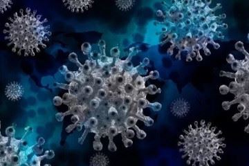کووید۱۹ یک بیماری زئونوز است
