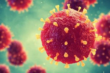 از سویه جدید ویروس کرونا چه می‌دانیم؟