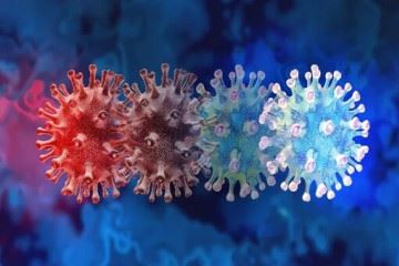 کدام سویه ویروس کرونا خطرناک‌تر است، لامبدا یا دلتا؟