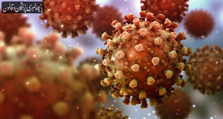 احتمال بستری شدن مبتلایان به دلتا دو برابر بیش از سویه های دیگر کرونا است