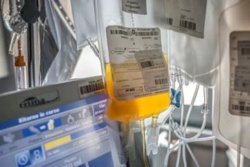 اشتباه عجیب سازمان انتقال خون در خصوص بهبود یافتگان کرونا