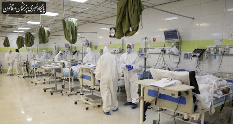 در طول ۲۴ ساعت گذشته، ۳۱۷ بیمار کووید۱۹ جان خود را از دست دادند