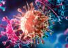 از بین رفتن ویروس کرونا در آخرین جهش صحت ندارد