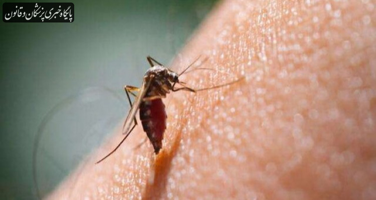 افزایش قربانیان مالاریا در جهان در سال ۲۰۲۰