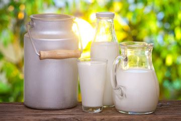 پروتئین‌های شیر به عنوان مرجع برای تعیین ارزش تغذیه‌ای سایر منابع پروتئینی در نظر گرفته می‌شود
