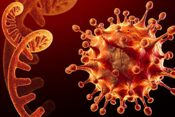 علت ابتلای همزمان دو بیماری ویروسی آنفلوآنزا و کرونا