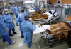 افزایش موارد بستری کرونایی در بخش‌های بیمارستانی و آی‌سی‌یو