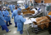 ۱۳۰ فوتی و شناسایی ۳۳۶۸۱ بیمار جدید کرونایی در کشور
